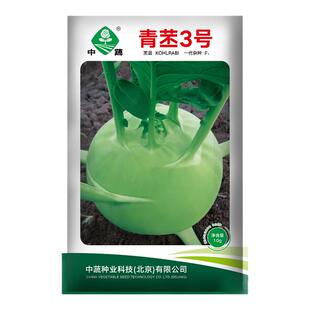 农科院中蔬青苤3号苤蓝种子杂交春秋季种籽四季蔬菜种孑