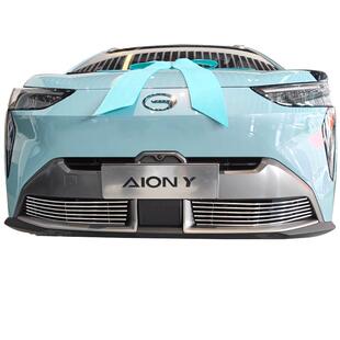 广汽埃安yplus防虫网埃安y前脸中网外观升级改装件汽车用品配件