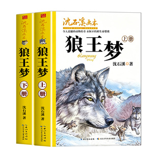 全套21册 沈石溪画本狼王梦上下2册动物小说大王沈石溪经典全彩美绘本彩绘版画本完整版小学生三四五六年级必读的动物小说课外书