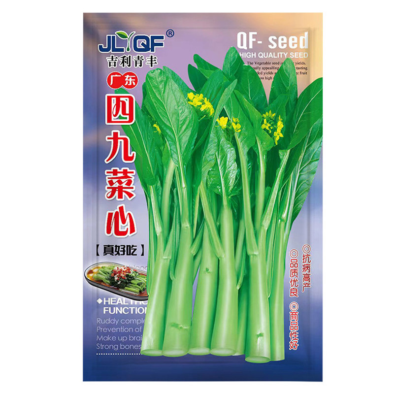 四季四九菜心种子甜菜心