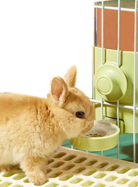 兔子龙猫荷兰猪饮水器洁西自动