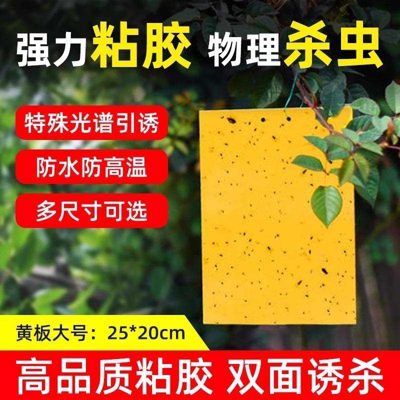 黄板双面粘虫板贴纸强力灭杀小飞虫沾果蝇诱捕神器捉蚊子苍蝇大棚