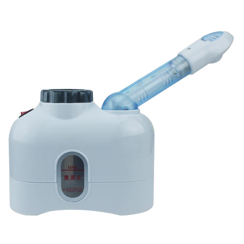 泰东中草药包熏蒸仪热喷喷雾机负离子蒸脸器熏眼熏鼻子仪器美容仪