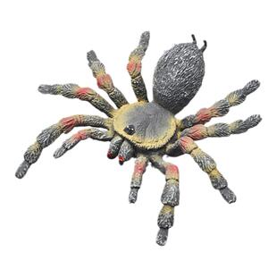 童德儿童仿真动物玩具动物模型蜘蛛红蜘蛛狼蛛白毒蜘蛛认知摆件