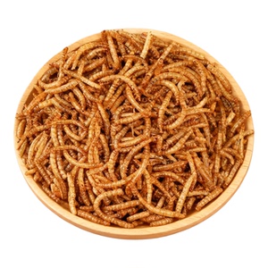 虎皮小太阳鹦鹉奖励零食面包虫干