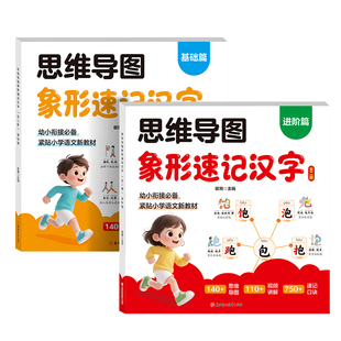 思维导图象形速记汉字基础篇+进阶篇 幼小衔接教材全套一日一练幼升小练习册人教版识字书幼儿认字生字组词造句象形偏旁部首组合