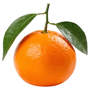 正宗临海涌泉蜜桔应季新鲜水果橘子10斤整箱黄岩蜜桔旗舰店