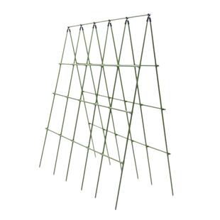 黄瓜爬藤架豆角架杆楼顶种菜架子菜园种菜架子丝瓜蔬菜种植架家用