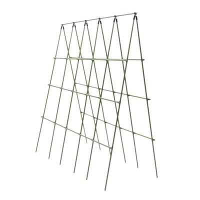 种菜架子豆角黄瓜庭院户外攀爬