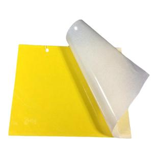 黄蓝一体粘虫板双面强力蓝板蓟马克星黄板诱杀白飞虱大棚茶园专用