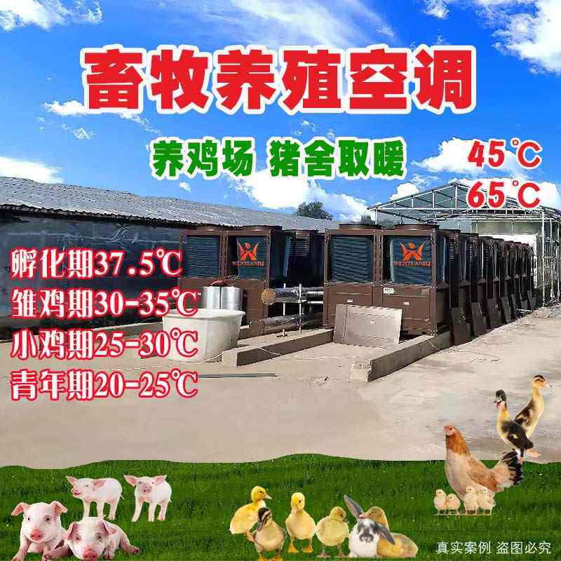 定制空气能热泵机组养鸡鸭鹅猪保育幼崽采暖风冷主机取暖设备