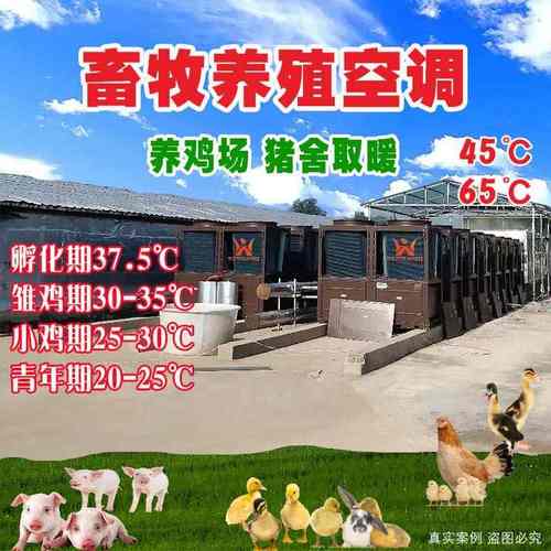 定制空气能热泵机组养鸡鸭鹅猪保育幼崽采暖风冷主机取暖设备