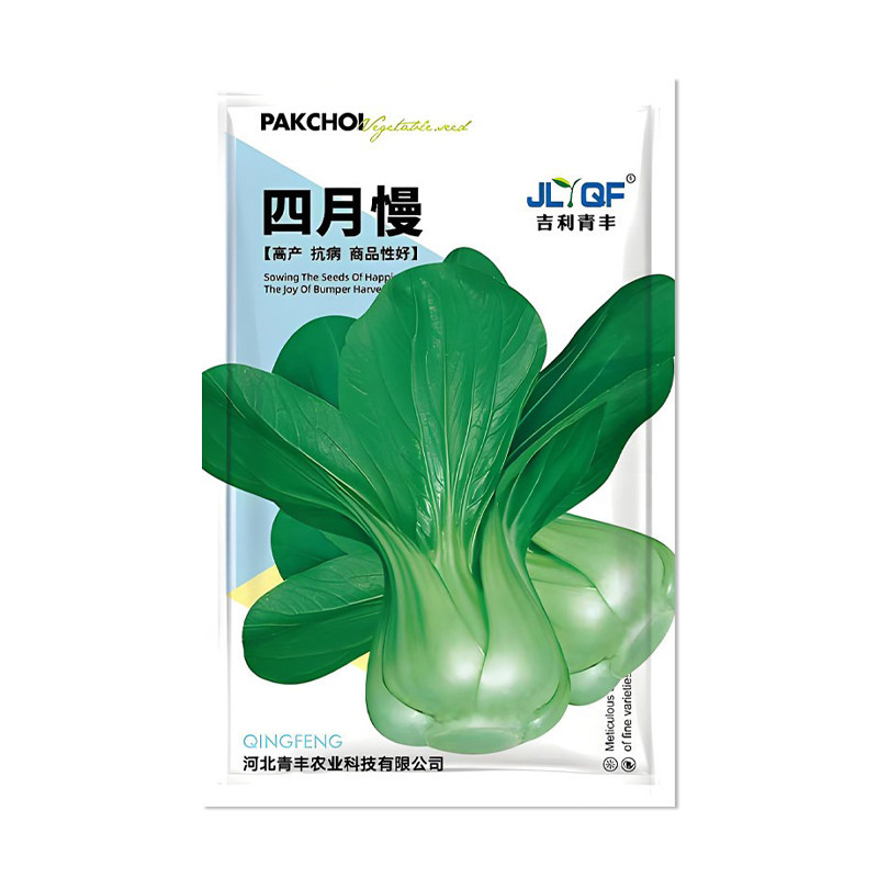 吉利青丰四月慢小白菜种子