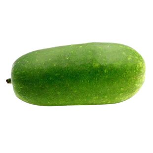 冬瓜种子大全老品种 黑皮粉皮白皮广东青皮早熟早绿蔬菜种籽 四季