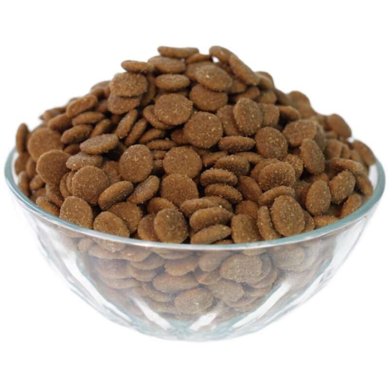 渴望自制萨摩10斤秒杀now成犬粮
