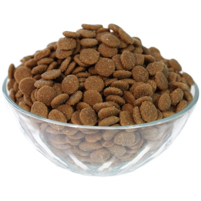 渴望自制萨摩10斤秒杀now成犬粮