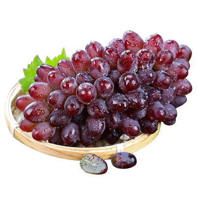 茉莉香葡萄5A级品质，现货速发