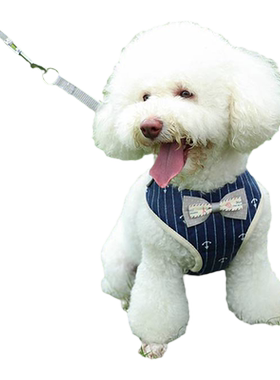 狗狗牵引绳小体型奶狗博美背心式胸背带吉娃娃茶杯犬宠物猫咪专用