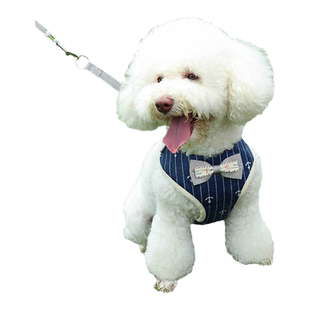狗狗牵引绳小体型奶狗博美背心式胸背带吉娃娃茶杯犬宠物猫咪专用