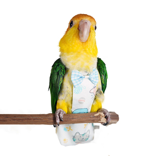 第八代无侧缝宠物鸟用尿不湿鹦鹉衣服飞行服立体屎兜尿布尿裤包邮