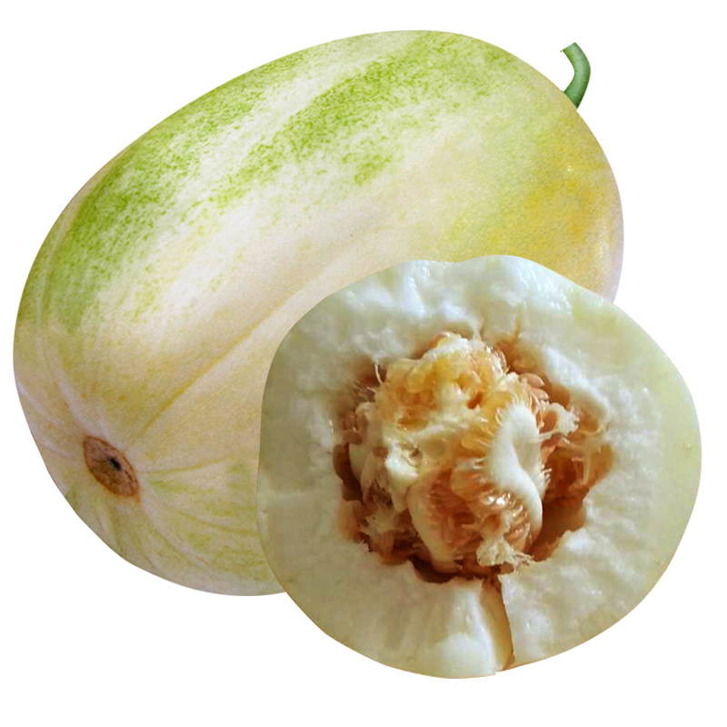 白沙蜜白沙蜜春季水果甜瓜春季
