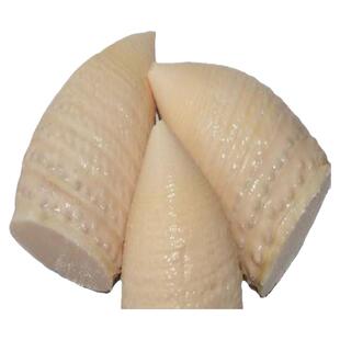 江西特产新鲜冬笋现挖500克袋装水煮笋尖清水春笋雷笋火锅笋苦笋