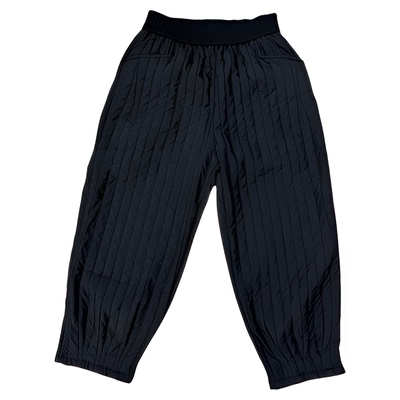 Dan Dan 欧洲站松紧腰竖纹夹棉哈伦裤女  2024冬季新款休闲裤女