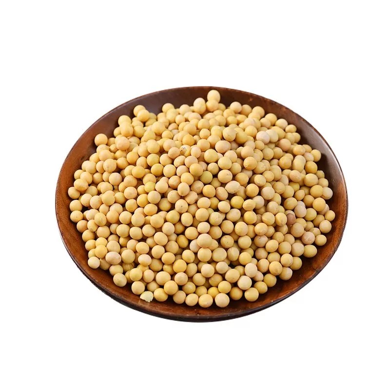 东北黄豆打豆浆发豆芽专用