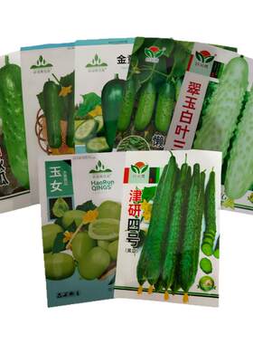 黄瓜种子青瓜种籽春秋播水果蔬菜