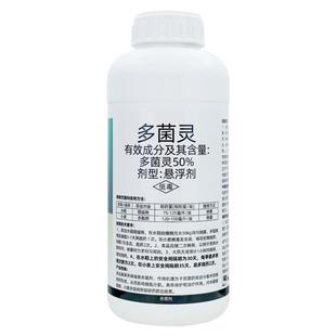 多菌灵杀菌剂白粉病炭疽病霜霉病黑斑病果树蔬菜花卉月季植物农药