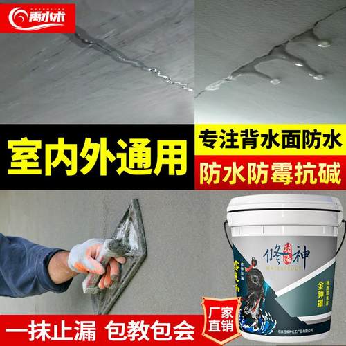 墙面地面防水涂料背水面专用防水材料屋顶水泥基防霉防潮渗透补漏