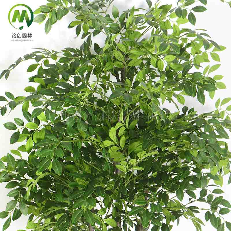 室内仿真绿植盆栽客厅仿真榆树仿真植物摆件轻奢盆景假槐树假绿植