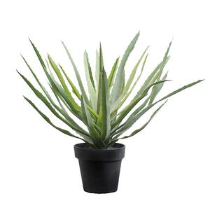 仿真绿植摆件龙舌兰剑麻盆栽热带植物景观造景室内装饰假树民宿