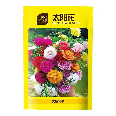 史丹利四季开花家庭园艺种子系列