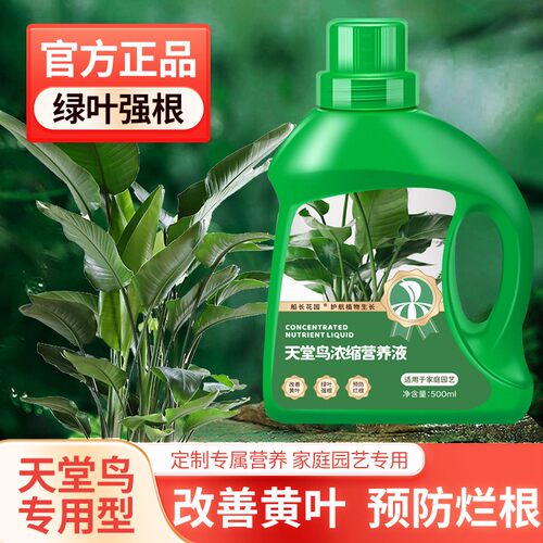 天堂鸟专用营养液龟背竹琴叶榕鹤望兰大型船长花园园艺肥料通用型