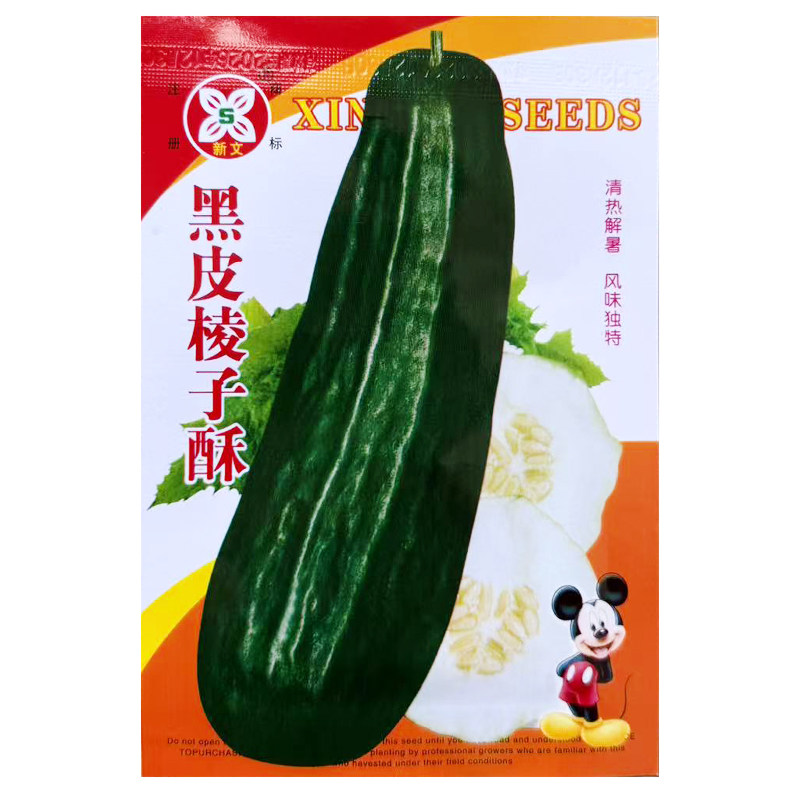 黑皮棱子酥种子酥瓜脆瓜超大菜瓜籽生吃腌菜凉拌露天大棚水果种子
