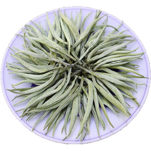 2025哈尼族文化茶园芽茶南糯山基诺山寨普洱茶生茶生态古树茶250g