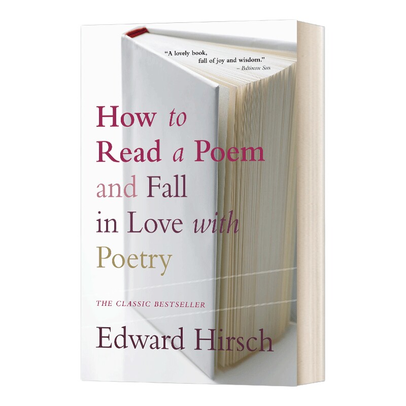 英文原版 How to Read a Poem 如何读诗 英文版 进口英语原版书籍