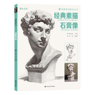 经典素描石膏像五官结构头像临摹范本人头像人物美术生艺考联考肖像画册画画入门照片精选书籍亚历山大伏尔泰小卫头骨教程写实