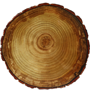 素娘实木茶垫杯垫木质餐垫隔热垫功夫茶杯托茶杯垫茶道茶具茶壶垫