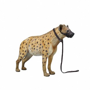 现货JXK 1/6 非洲鬣狗模型 仿真草原动物周边潮玩摆件桌面手办