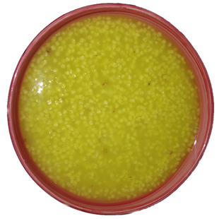 2025小米黄小米新米山西小米沁州黄小米粥小黄米5斤小米杂粮米脂