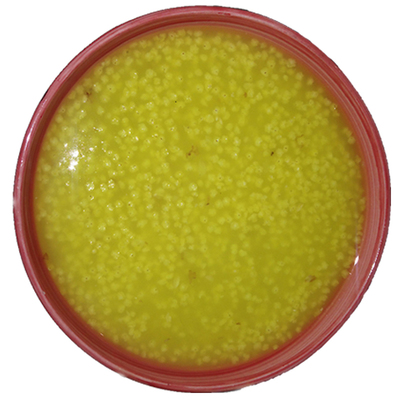 山西小米优质沁州黄小米2025新米