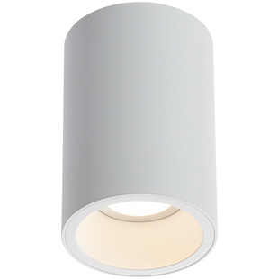 LED简约家用客厅无主灯防眩单头明装吸顶圆形COB斗胆射灯智能可调