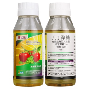 圣鹏糖状元2%几丁聚糖番茄晚疫病水剂农药杀菌剂