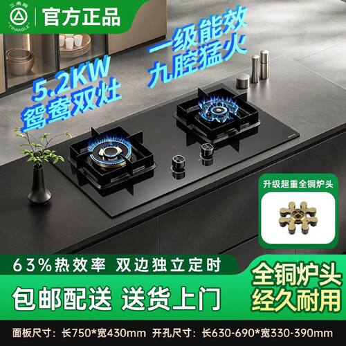 三角牌燃气灶双灶家用天然气煤气灶台嵌两用定时节能猛火灶液化气