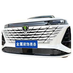 长安三代CS75plus冠军版中网外观改装前保险杠防护专用防虫网装饰