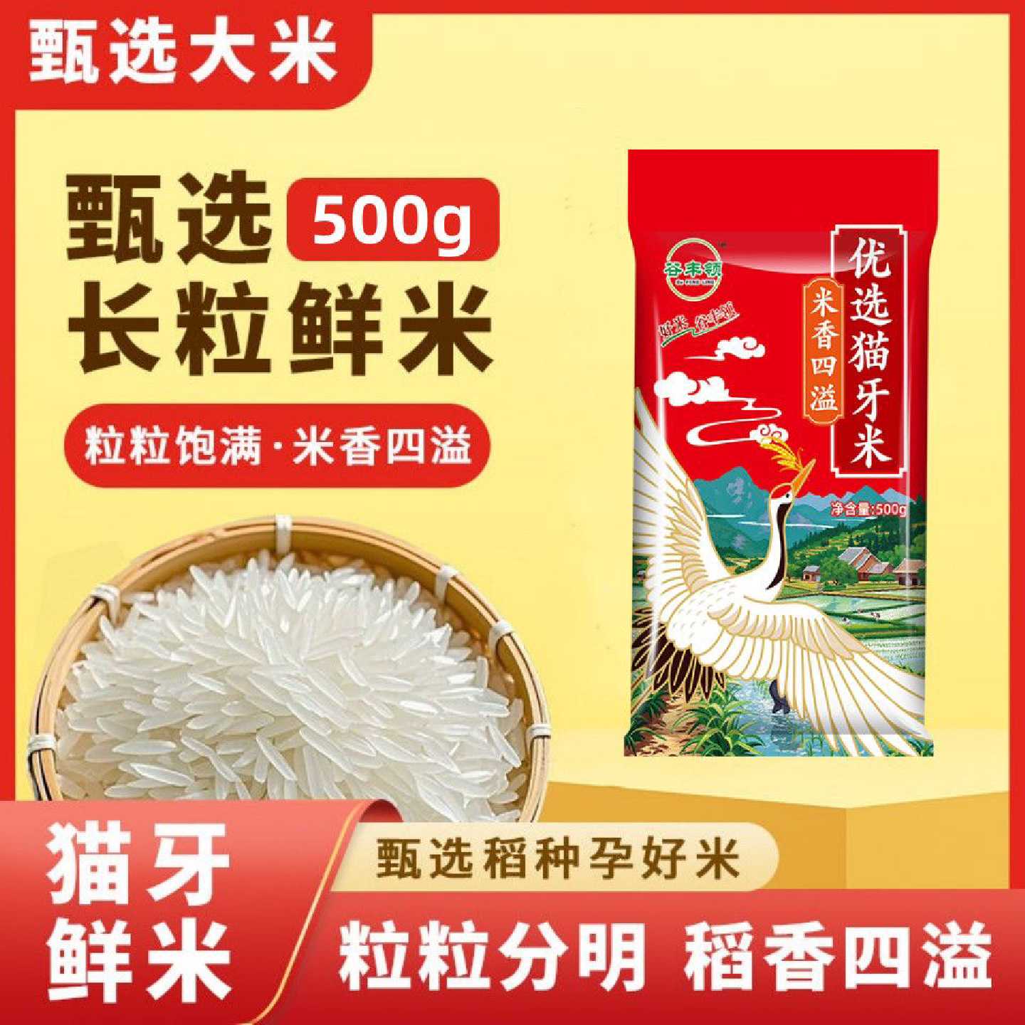 5斤装猫牙米当季新米长粒香大米新鲜正宗优质250g小包装工厂批发