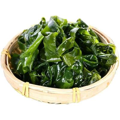 盐渍裙带菜商用非干货新鲜海带嫩苗丝儿童海白菜海藻菜凉拌专用