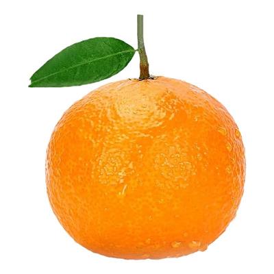 【高回购榜顺丰】S级品质果冻橙